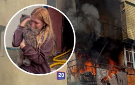 Пожежа у п’ятиповерхівці Ладижина: з квартири винесли кошеня та двох хом’яків