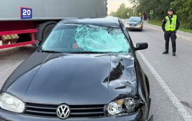 66-річний чоловік вибіг на дорогу і загинув під колесами Volkswagen