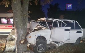 ВАЗ злетів із дороги та врізався в дерево: водій і пасажир у лікарні