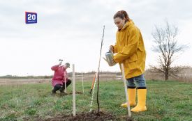 Осінній полив може нашкодити деревам: скільки води насправді потрібно саду