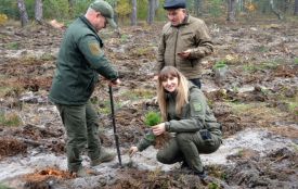 Що ми знаємо про вінницькі ліси? До Дня працівника лісу