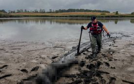 У ставку Самгородської громади знайшли тіло чоловіка. Водойму перед цим спустили