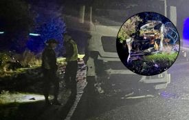 Двоє маленьких дітей загинули у ДТП на Гайсинщині, де легковик зіткнувся з вантажівкою