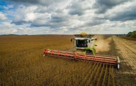 На Вінниччині зібрали понад половину зернових. Скільки вже намолотили