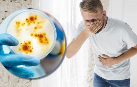 У Вінниці за вісім місяців зареєстрували 741 випадок кишкових інфекцій