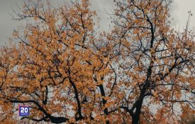 Заморозки до -3°: якою буде погода на Вінниччині на початку жовтня