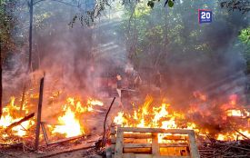 У Вінниці загинула тварина. Підпалили прихисток для безпритульних собак