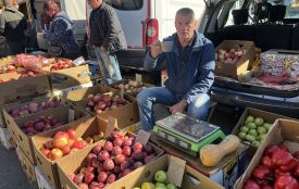 Вітаміни на зиму та крафт від виробника: що по чому продавали на дводенному ярмарку в Тяжилові