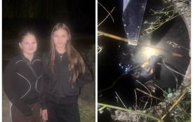 Почули скавчання з люка: в Іллінцях дві школярки врятували собаку