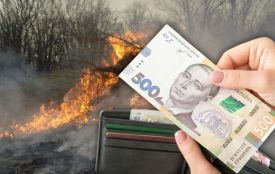 За спалене листя восени можна заплатити понад шість тисяч. А якщо вогонь перекинеться на ліс?