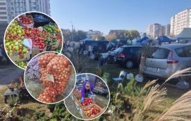 Що почім на ярмарку на Стрілецькій? Подивилися, чим торгують і що купують вінничани