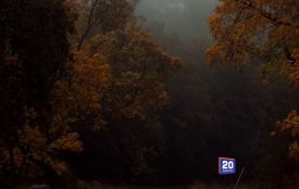 Кого сьогодні вітаємо та що святкуємо. Історія, заборони та прикмети 15 жовтня