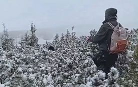 Заблукав дорогою до Говерли й замерз: туриста з Вінниччини шукали чотири години