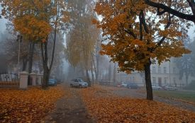 Туман, дощі та до +18 градусів: якою буде погода на Вінниччині до кінця тижня