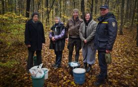 Пішли по гриби й заблукали в лісі: у Немирівській громаді шукали чотирьох людей