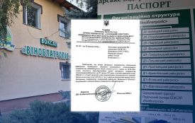 Ні деревини, ні повернутих грошей? Що сталося в «Іллінецькому райагролісі» і за що підозра керівнику