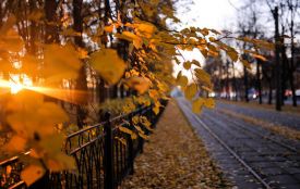 Осіння прохолода та до +1° вночі. Чого чекати від погоди у Вінниці
