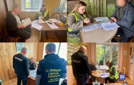 Деревина поза обліком і мільйонні прибутки: викрили схему в Гайсинському надлісництві