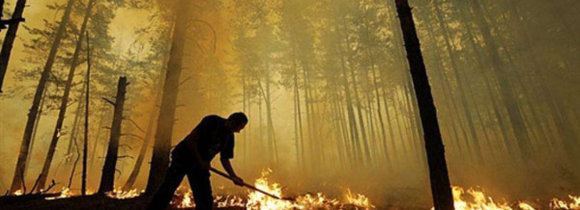 Де в Україні горять торфовища і ліси? (КАРТА)