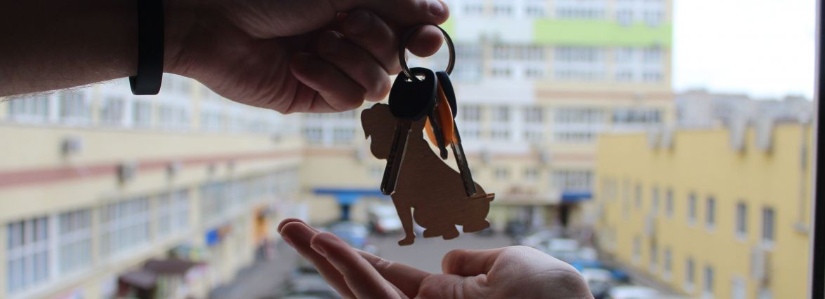 Як орендувати квартиру, щоб вас не обманули? Зібрали поради юристів