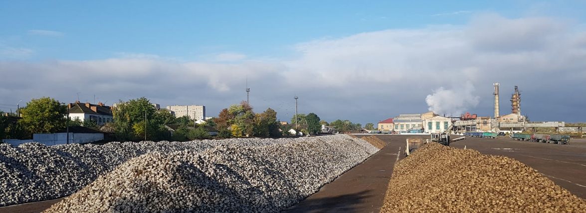 Не варять цукор тільки в Іллінцях. Чому не запрацював шостий цукрозавод?
