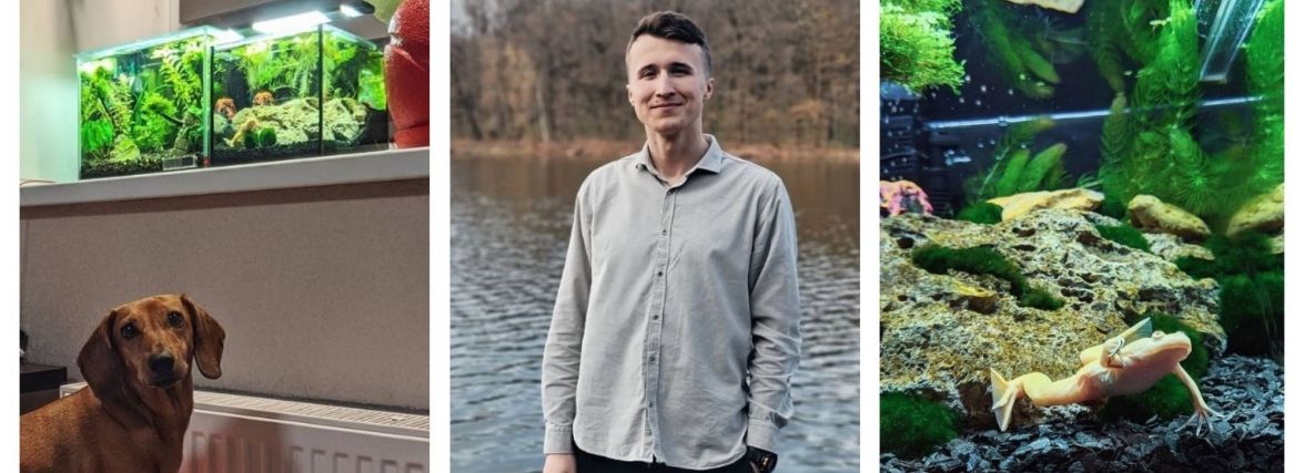 В одному акваріумі жаба, креветки, равлик і риби. Як вінничанин Юрій Жупанов створює акваскейп