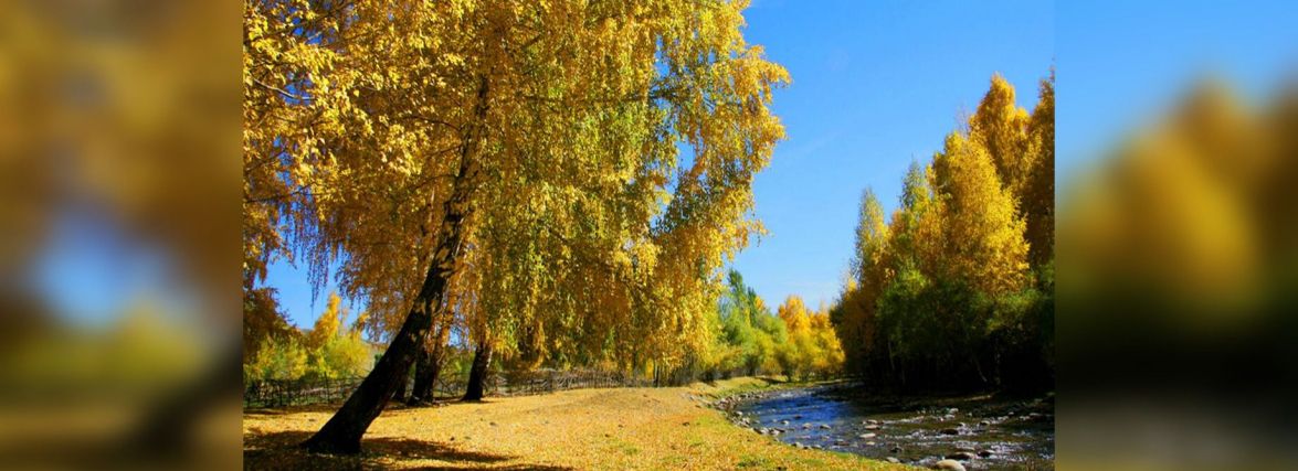 Заморозки вночі і багато сонця вдень. Синоптики дали свіжий прогноз погоди