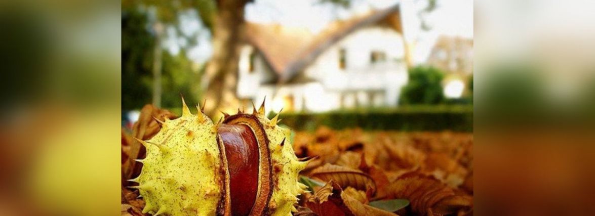 До нас прийде потепління, але на кілька днів. Встигніть погрітися на сонці