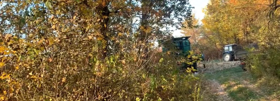 Сіяв сонях на землях Укрзалізниці. Під Хмільником фермер незаконно захопив ділянку