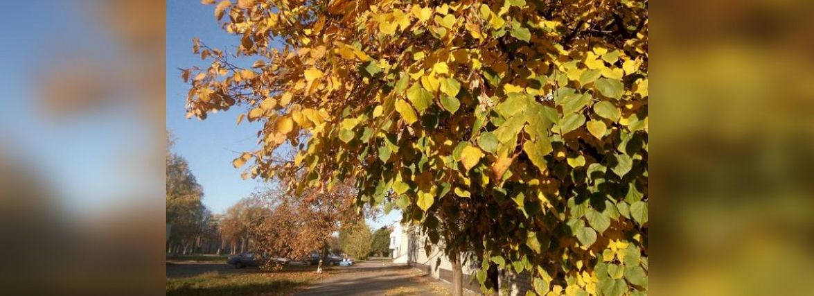 Сьогодні вітаємо Пилипа та Анатолія. Історія, заборони та прикмети 24 жовтня