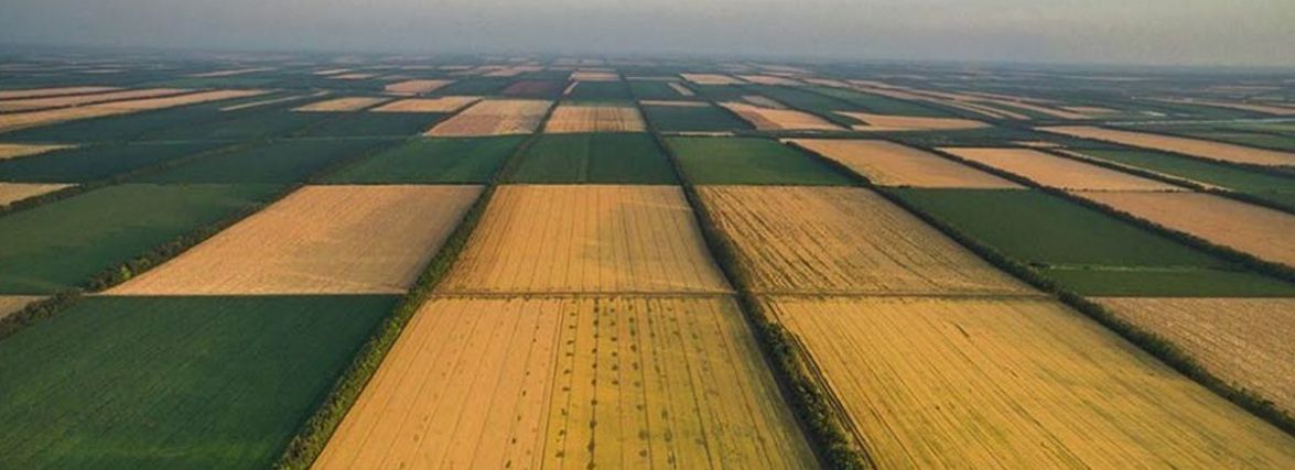 Процедура купівлі-продажу земельних паїв (Пресслужба юридичної компанії Сварог Лада)