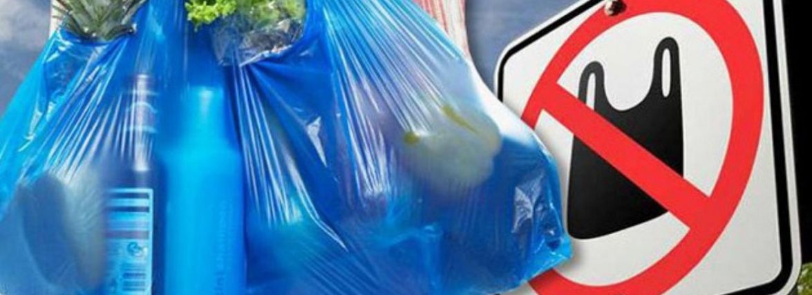 За безкоштовні пластикові пакети будемо тепер платити. Скільки та які їм існують альтернативи