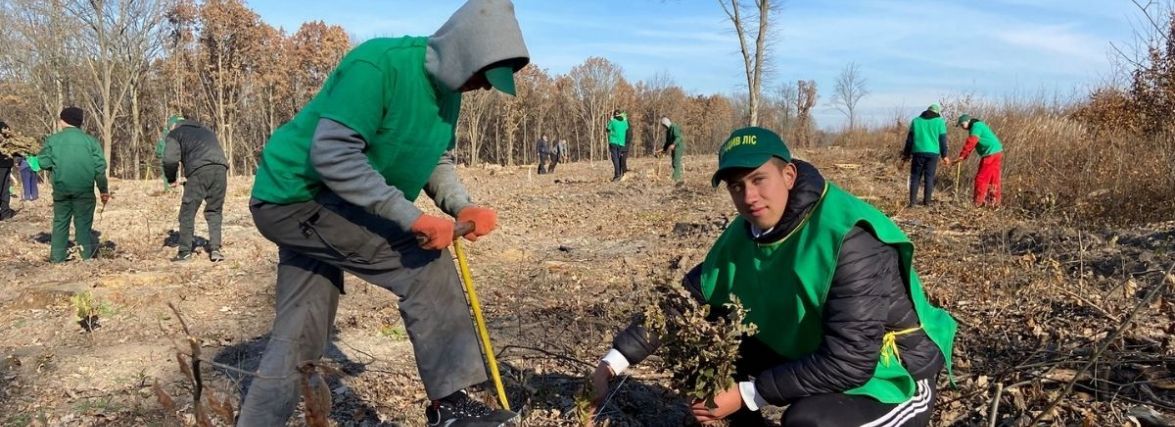 Лісівники підбили підсумки року — 369 тисяч дерев висадили на Вінниччині