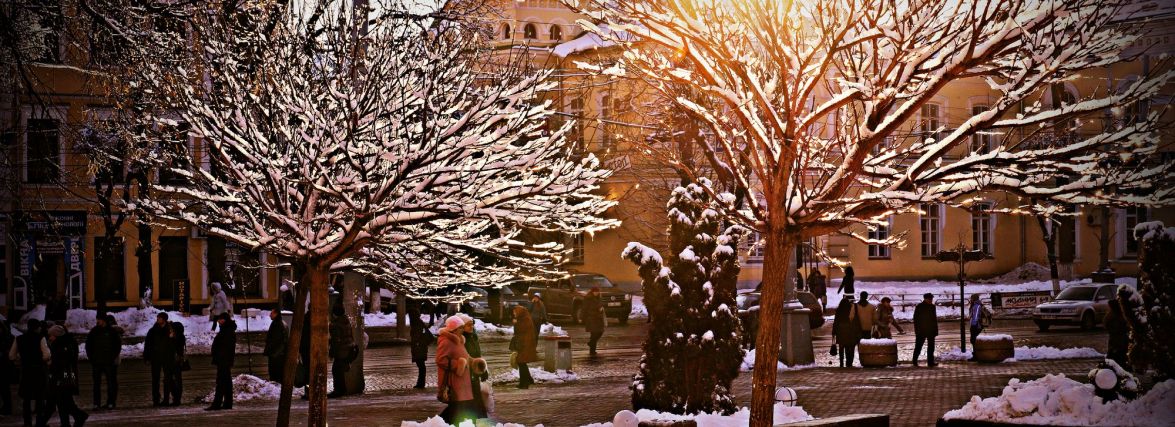 Ялинкова еволюція, смертельна ДТП та інше важливе за 2 січня на 20minut.ua