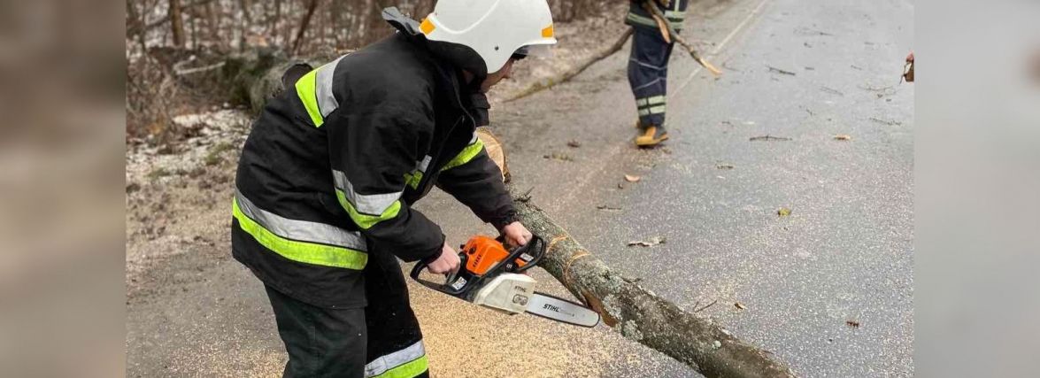 Негода на Вінниччині: повалені дерева та 20 населених пунктів без світла