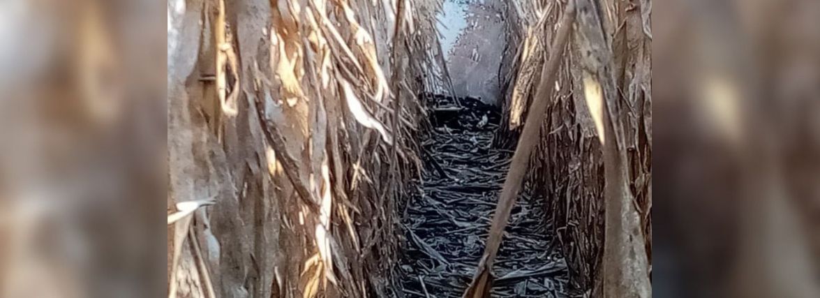 23-й день війни. На Вінниччині збили три ворожі ракети — Сергій Борзов