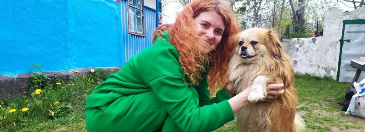 «Ми хотіли допомогти цим тваринам». Переселенці зуміли вивезли 20 котів та 30 собак з Харківщини