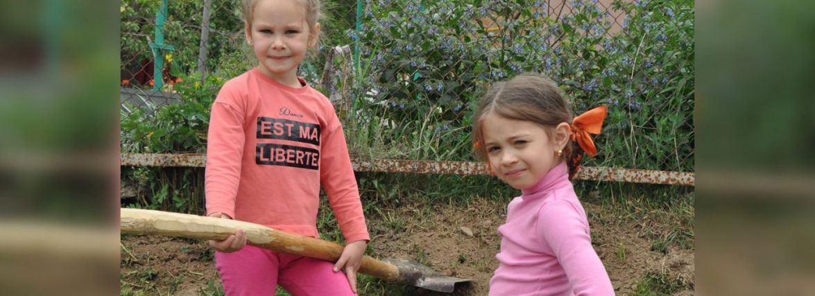 «Квіти вдячності». У Вінниці біля освітніх закладів висадили дев'ять тисяч кущів
