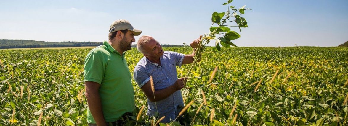 Гарячі вакансії в сільському господарстві Вінниччини. Що пропонують та скільки платять?