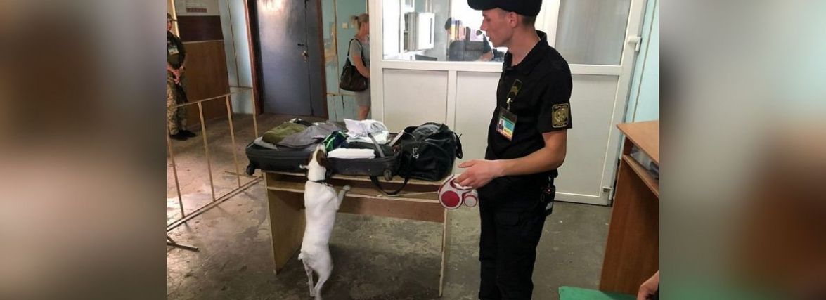 Собака Джосі завадила молдаванину перевезти до Вінниччини амфетамін
