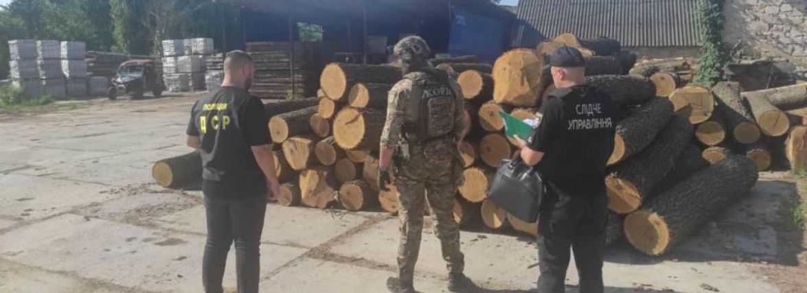 На Вінниччині незаконно вирубували ліс. Яке покарання загрожує зловмисникам?