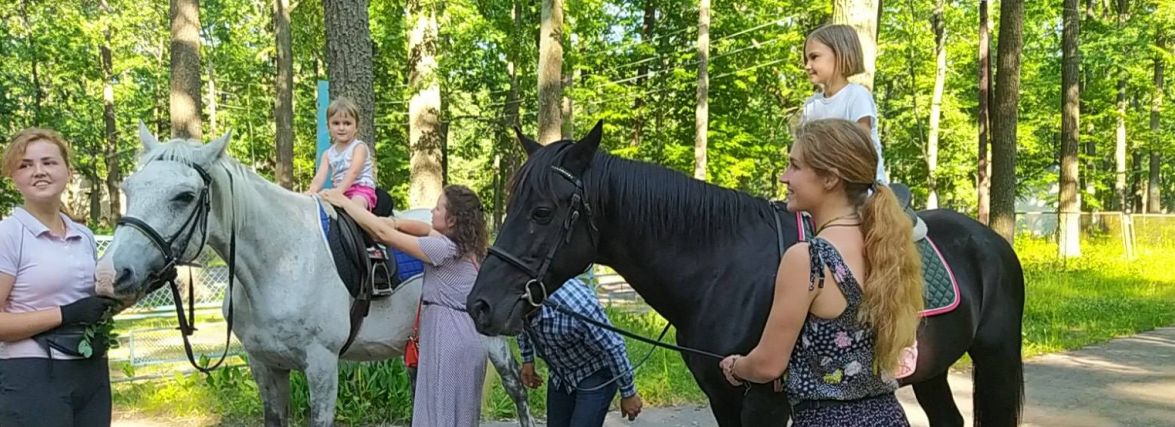 «Очі поки що сумні». Продовження історії з порятунку коней, евакуйованих з-під Києва
