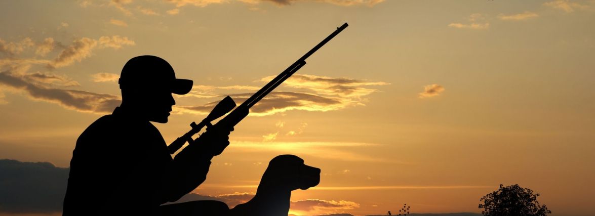 На Вінниччині заборонили полювання на пернату дичину. НАКАЗ
