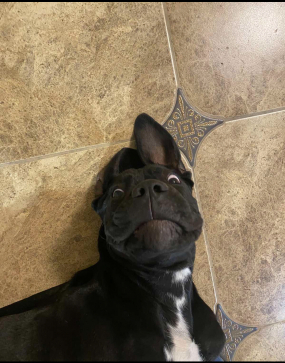 ...