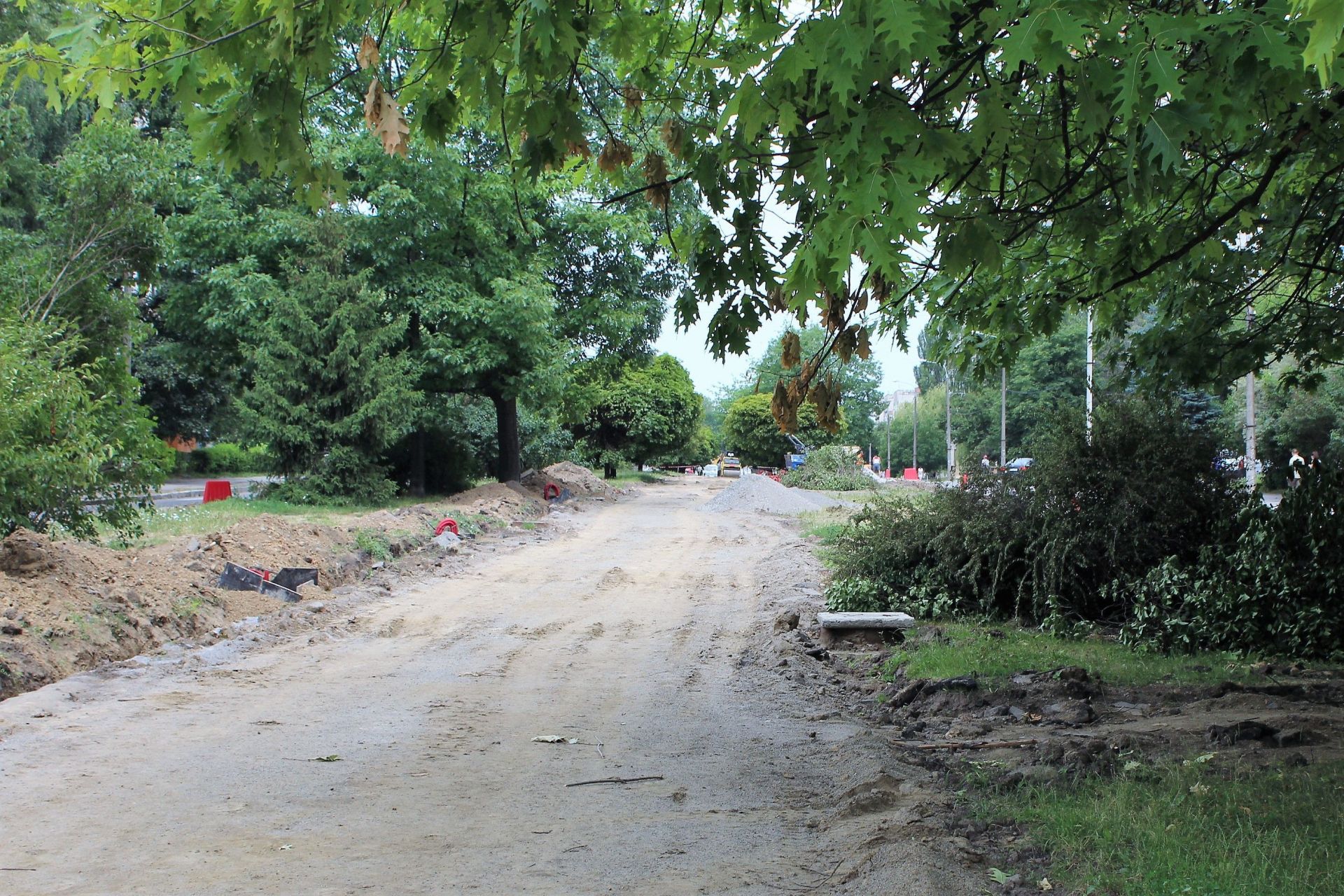 І тут нарешті є омріяний затінок.