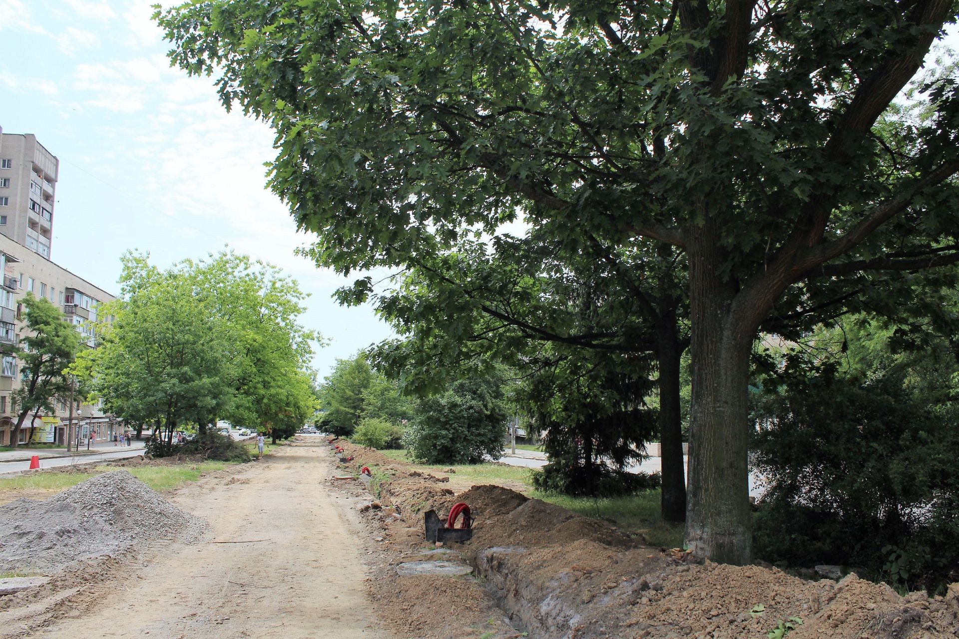 Ближче до вулиці Первозванного (Стахурського) дерев стає більше.