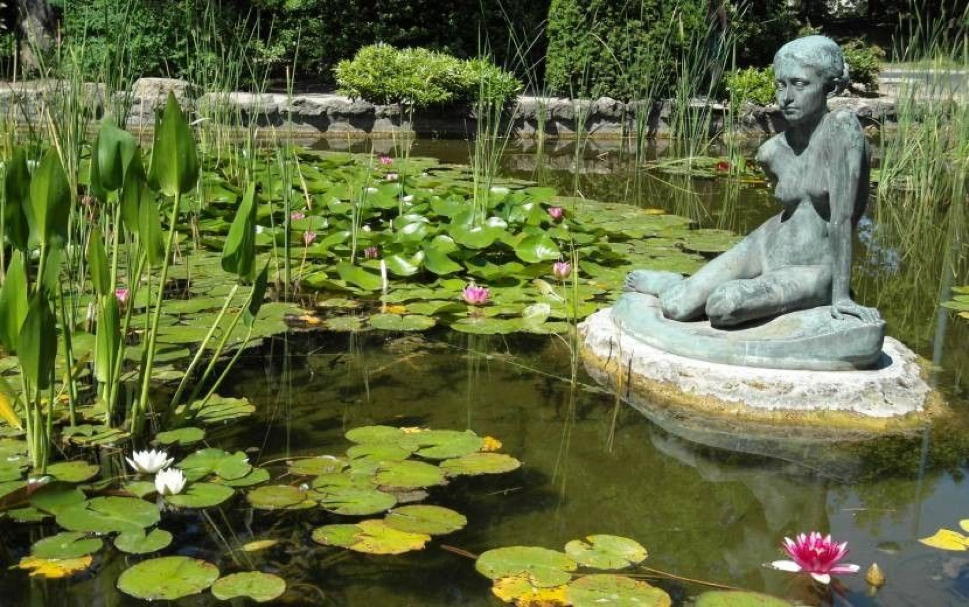 Острів Маргіт