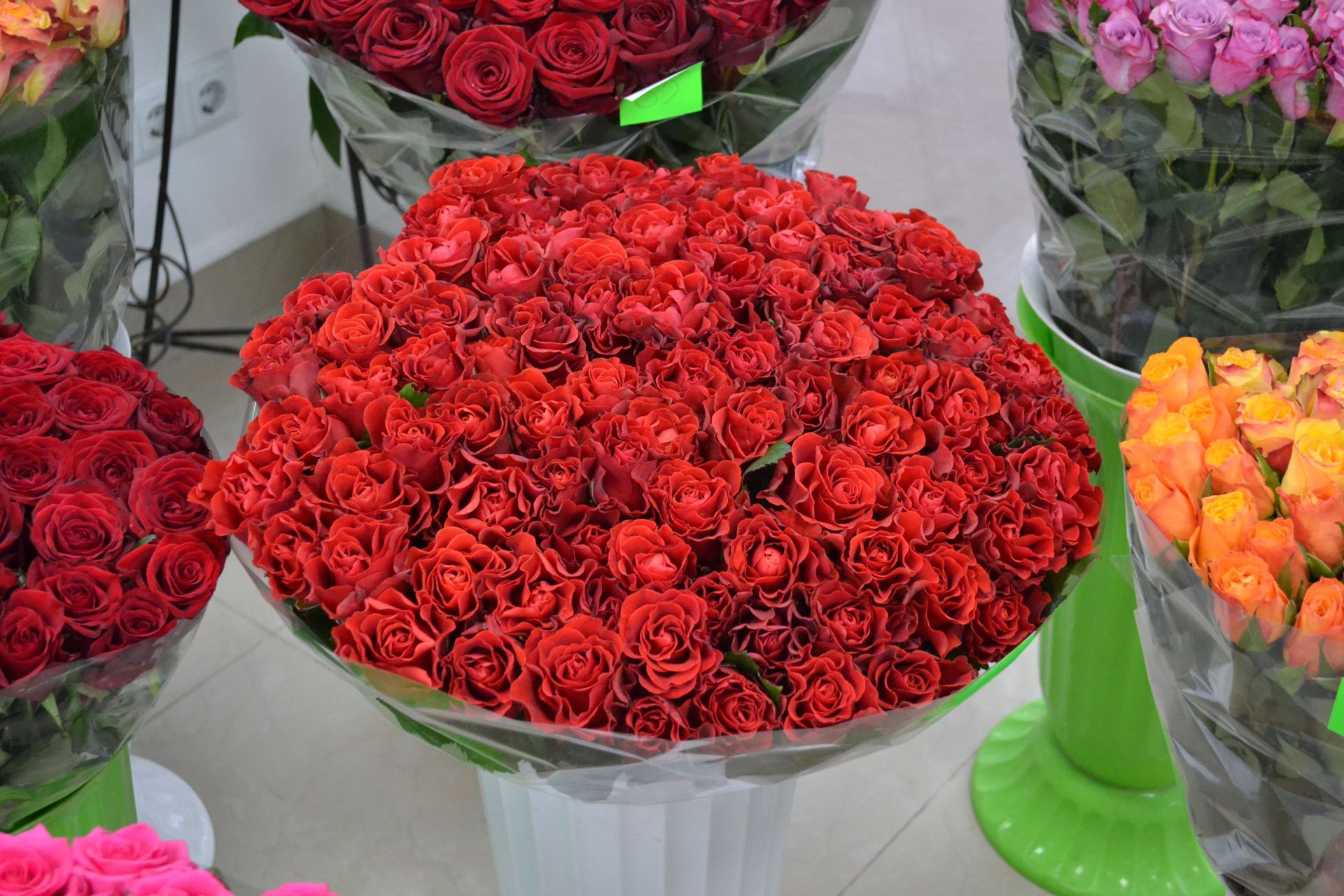 Вінницькі троянди