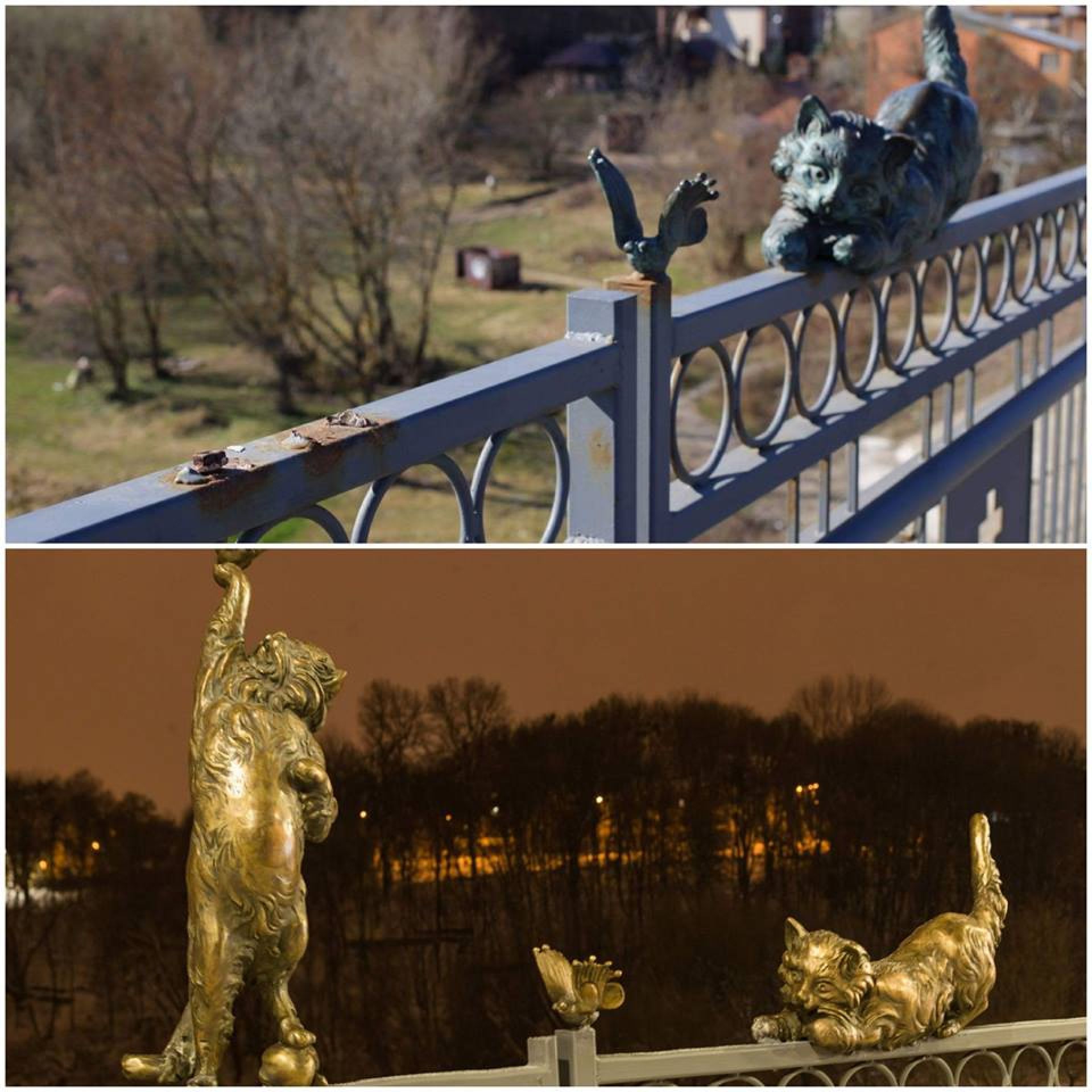 Фото зі сторінки Сергія Моргунова у соціальній мережі «Фейсбук«