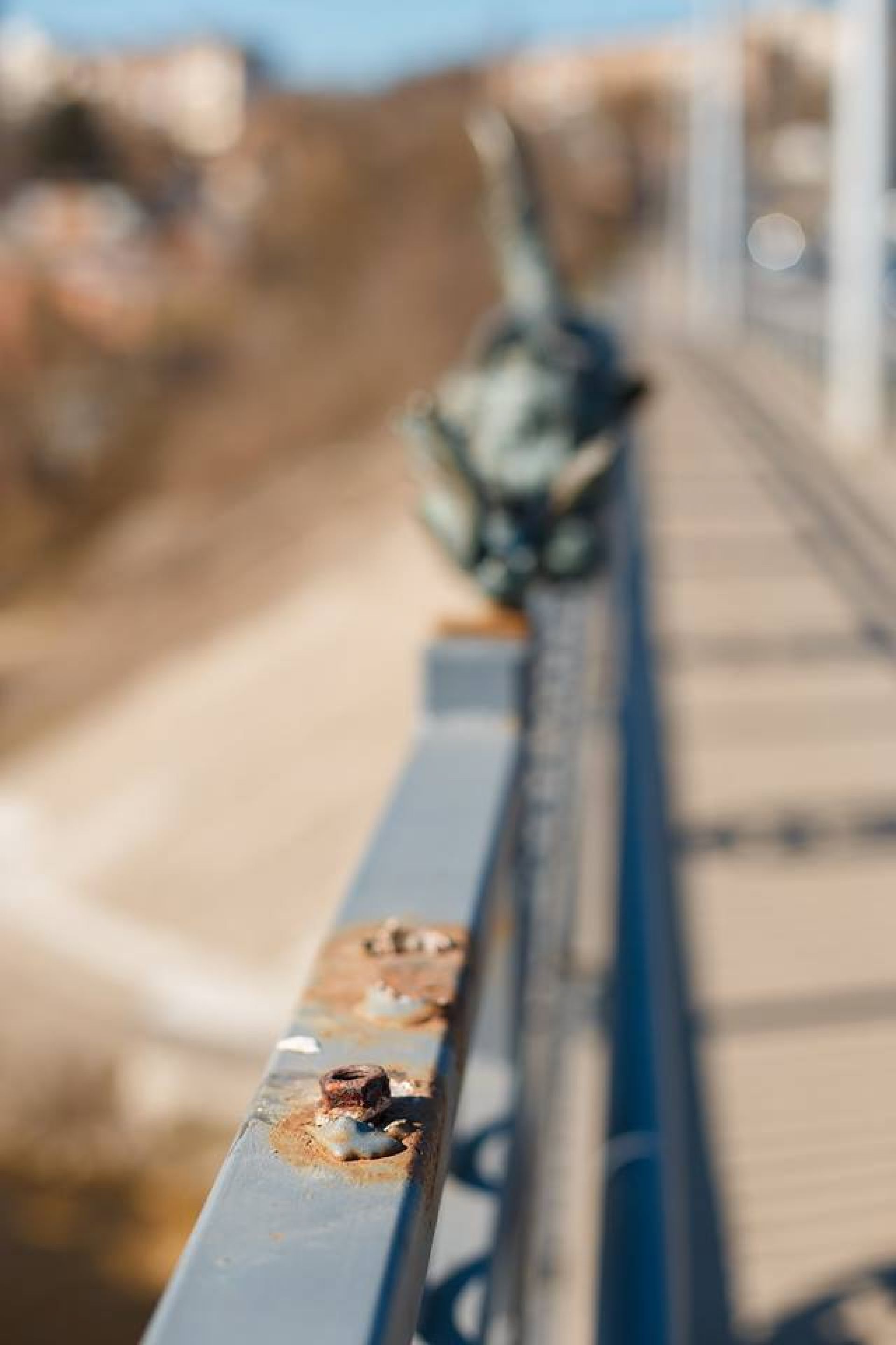 Фото зі сторінки Сергія Моргунова у соціальній мережі «Фейсбук«